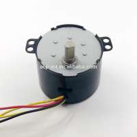 110V 50ktyz 5w AC Synchronous Motor