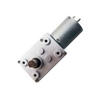 2 RPM 12v dc worm gear motor high torque