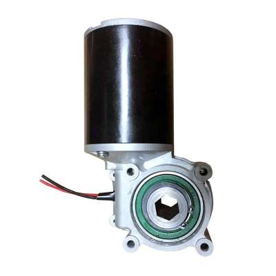 12V 80W Hollow Shaft DC Motor for Garage Door